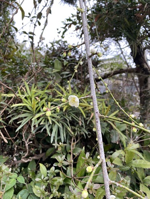 IMG_0116.jpeg
